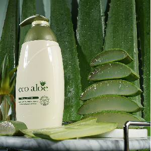 수분 깔끔한제형 알로에성분 알로에 바디로션 500ml