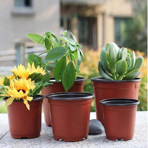 플라스틱 포트 미니화분 지름 9cm